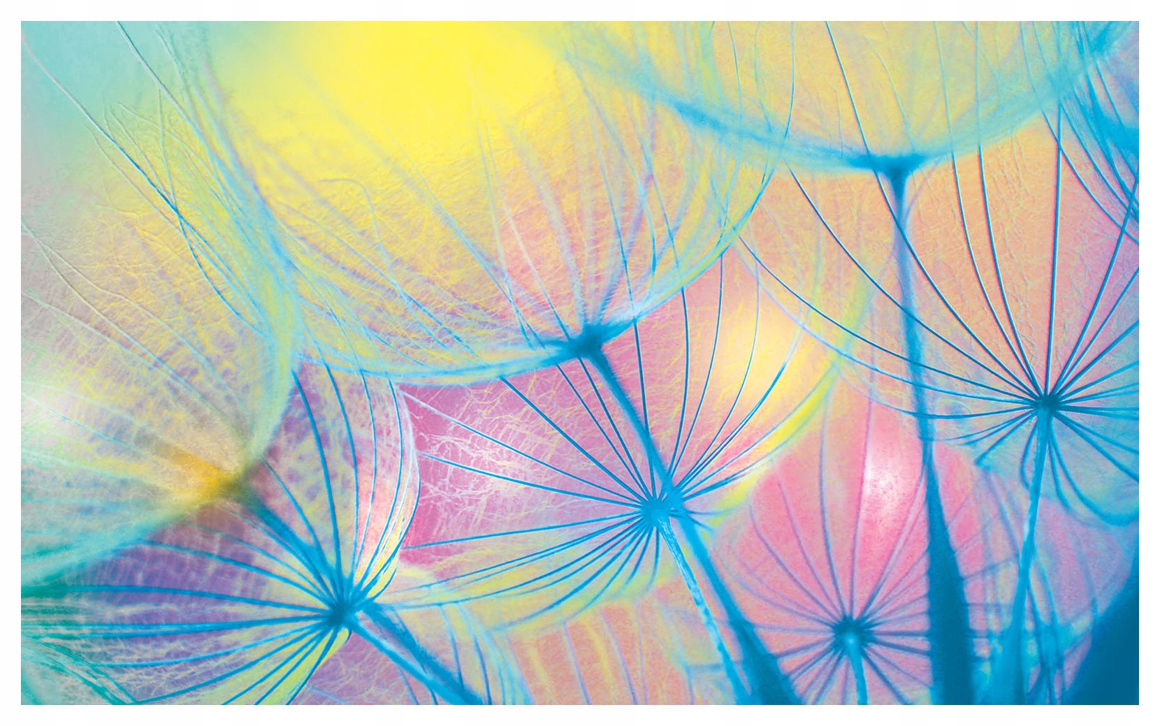 Fototapeta Dmychadla Abstrakt snů a naděje vinylová 312x219 lepidlo