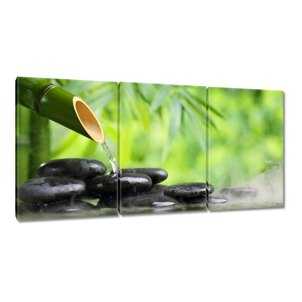 

Obrazy 120x60 Sanus per aquam Źródełko