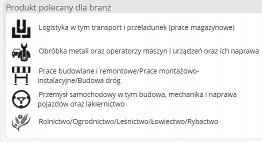RĘKAWICE ROBOCZE RTELA REIS DRAGON CB r.11 Liczba par w opakowaniu 1