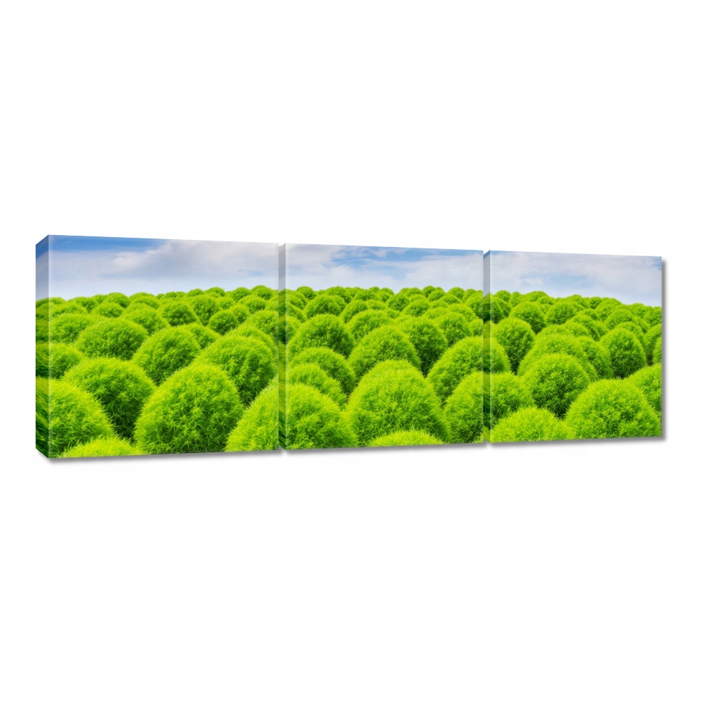 

Obraz 60x20 Zielone spojrzenie Dolina