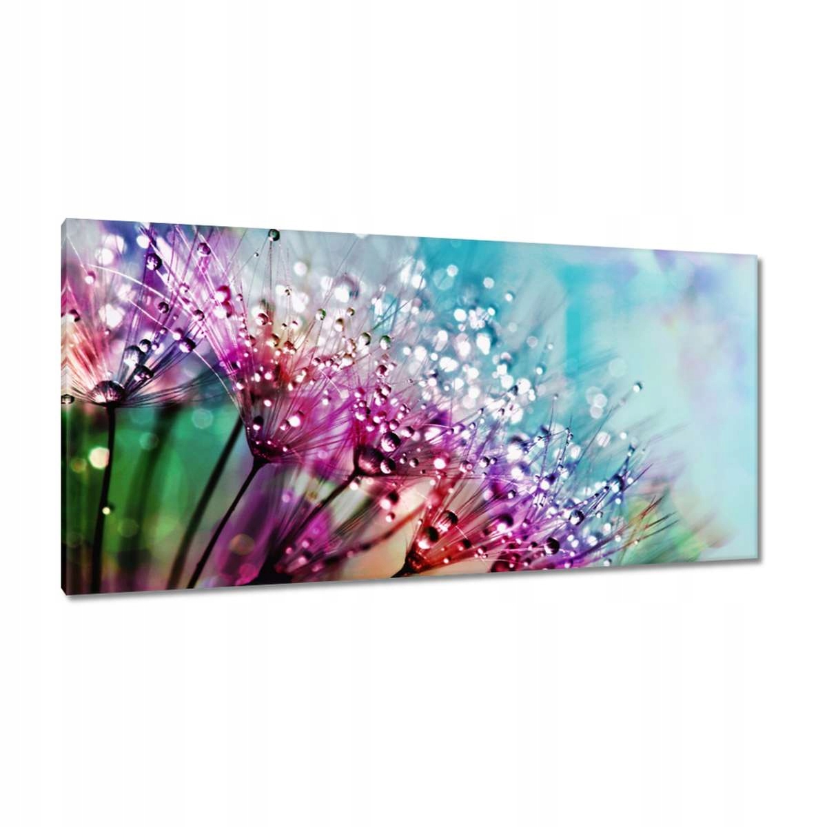 Obrazy 115x55 Kapky rosy Pampeliška