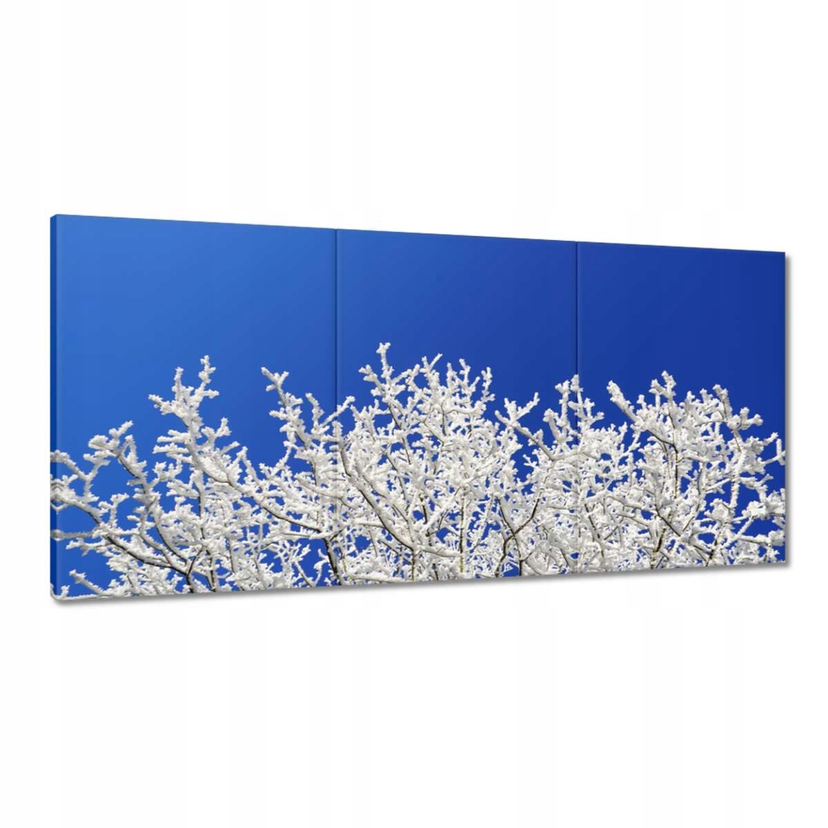 Obrazy 180x90 Zimný strom Mráz Sneh