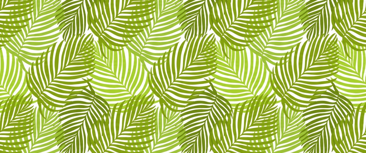 

Fototapeta Flizelinowa Tropikalne liście 250x104