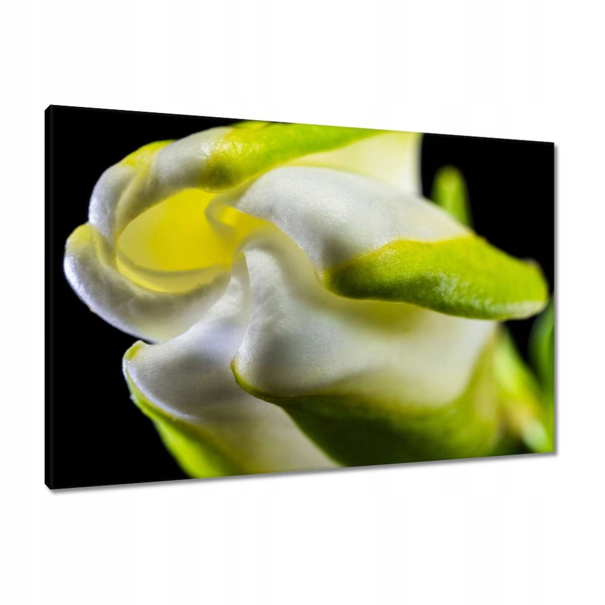 Obrazy 90x60 Den žen Dárek Láska