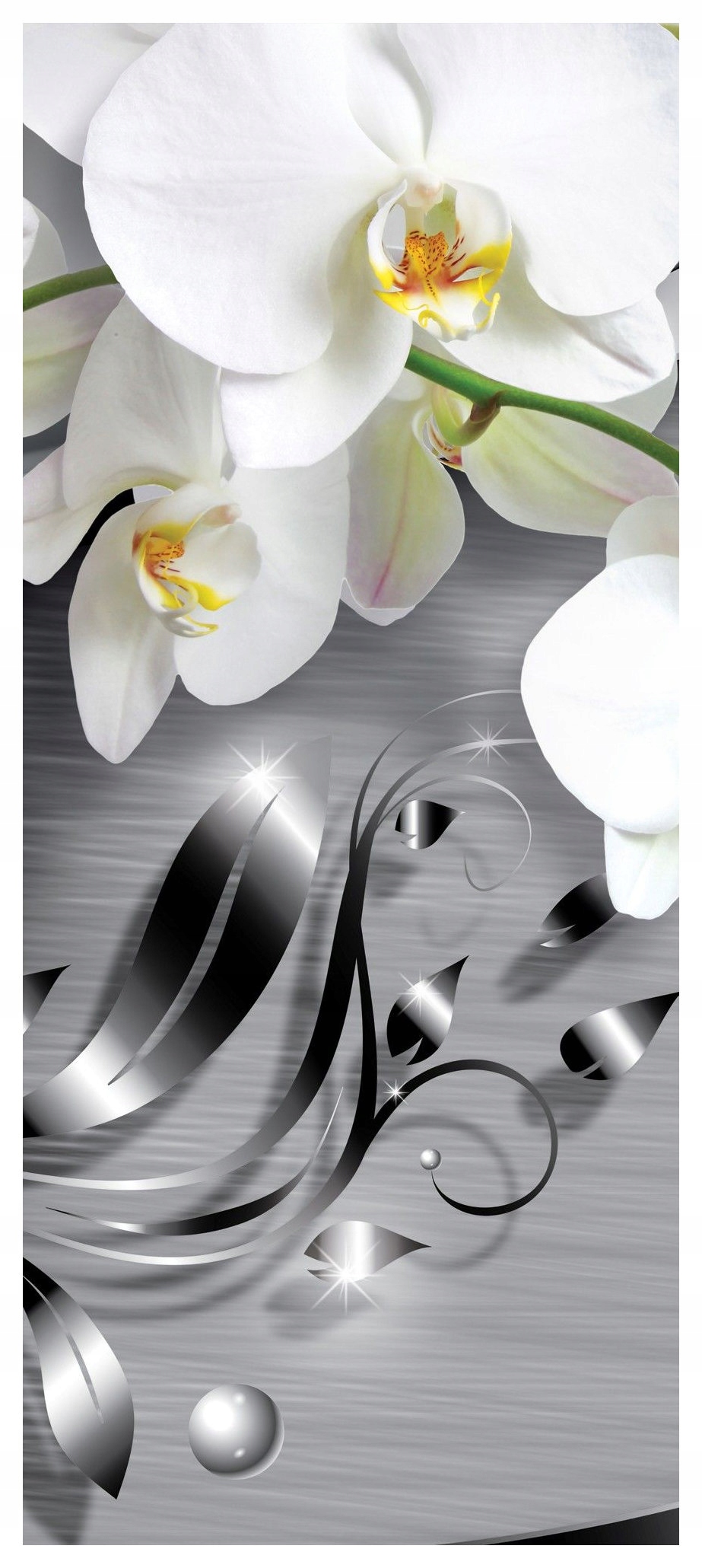 Samolepka Fototapeta Orchideje stříbrné bílé elegantní moderní 91x211