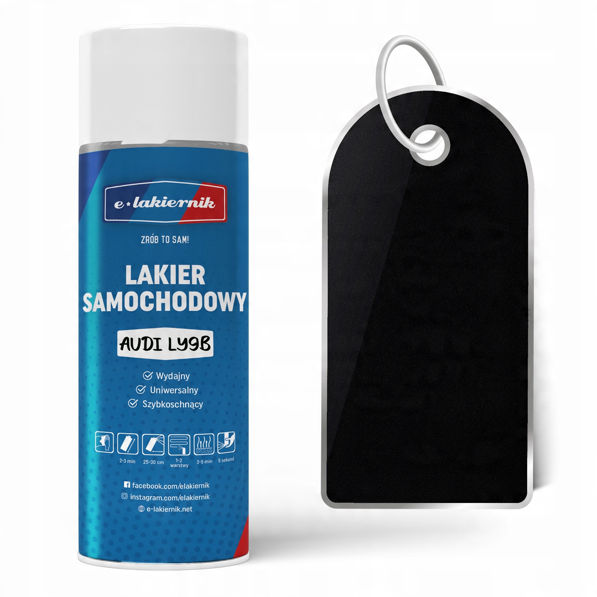 

e-lakiernik Lakier Samochodowy Spray Audi LY9B