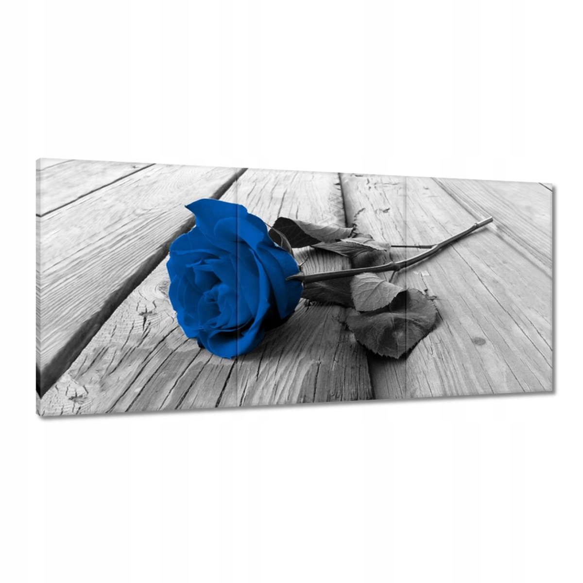Obrazy 210x100 Modrá ruža na moste