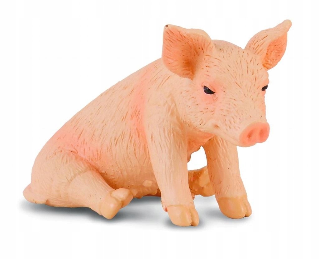 

Prosię siedzące Collecta