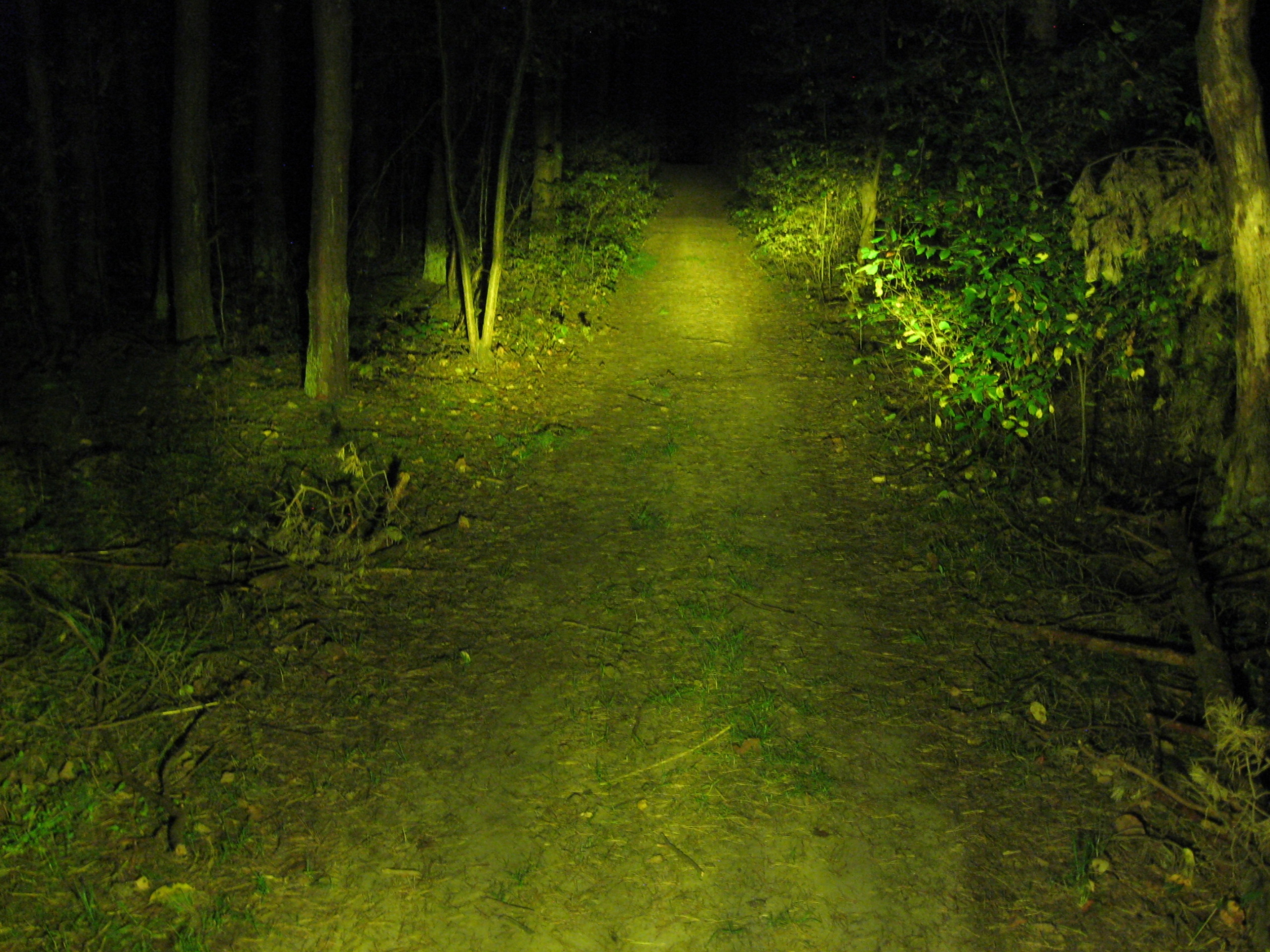 Żarówka LED żółta R2 P45t 45/40W 12V 24V DC 2CV Numer katalogowy części Żarówka LED żółta R2 P45t 12-24 V DC 18 W