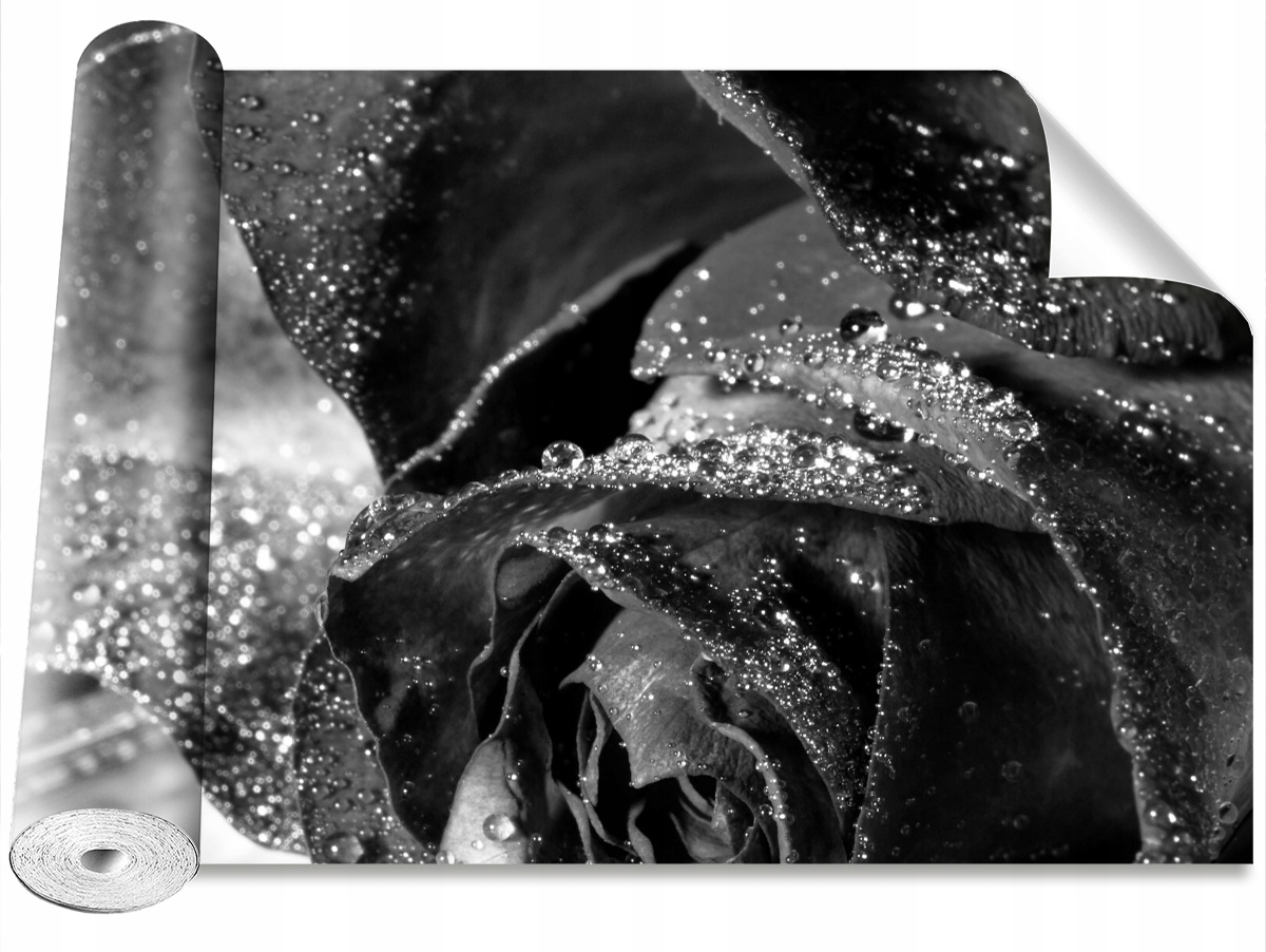 

Fototapeta Samoprzylepna Róża Woda 152x104