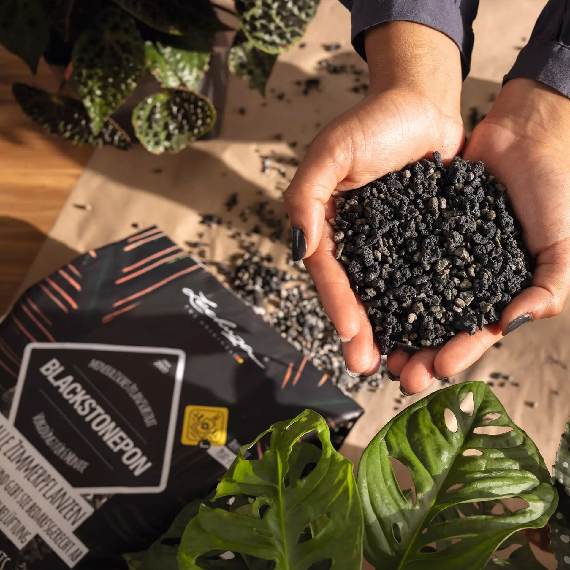 Podłoże roślinne BLACKSTONEPON12 litrów Lechuza Kod producenta 19556