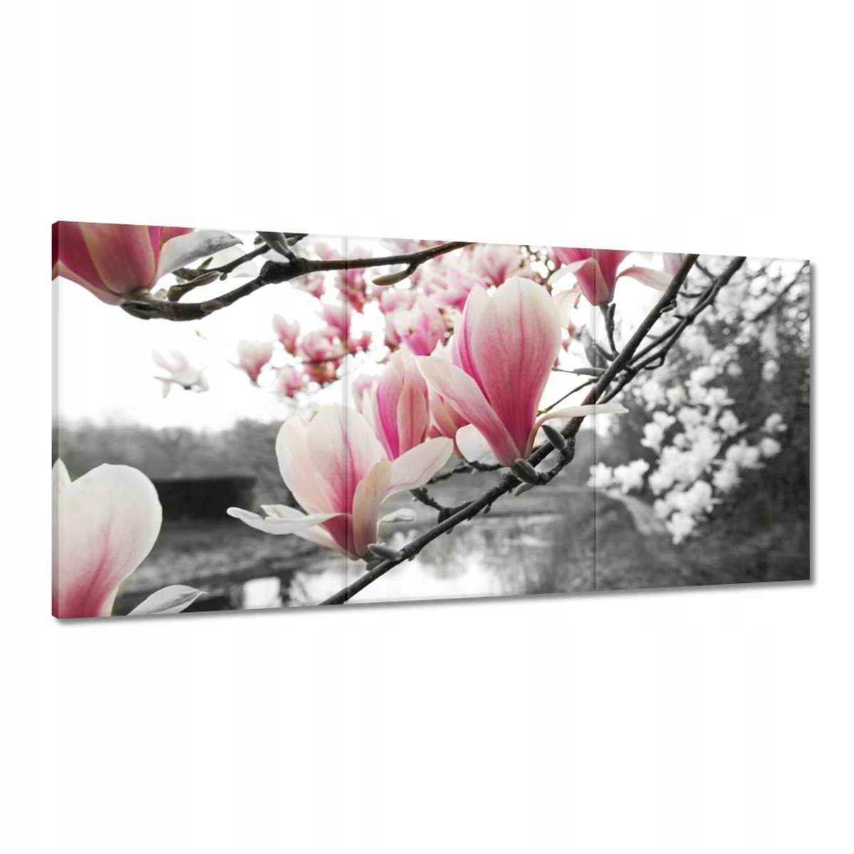 Obrazy 180x90 Magnólia Kvety