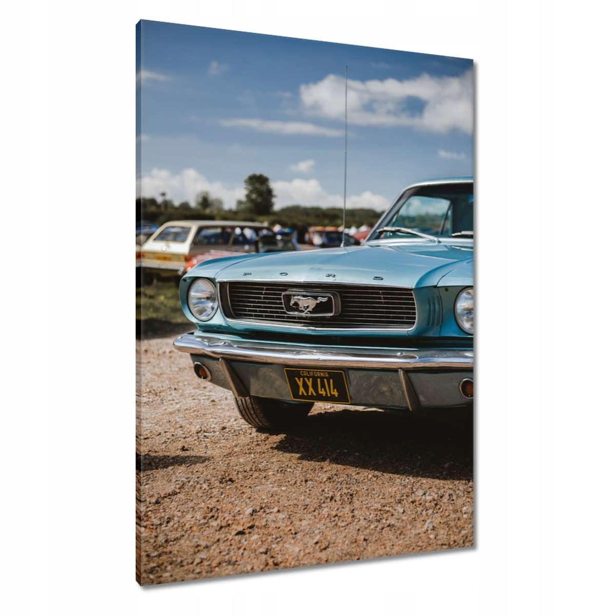 Obrazy 70x100 Ford Mustang Auto Usa