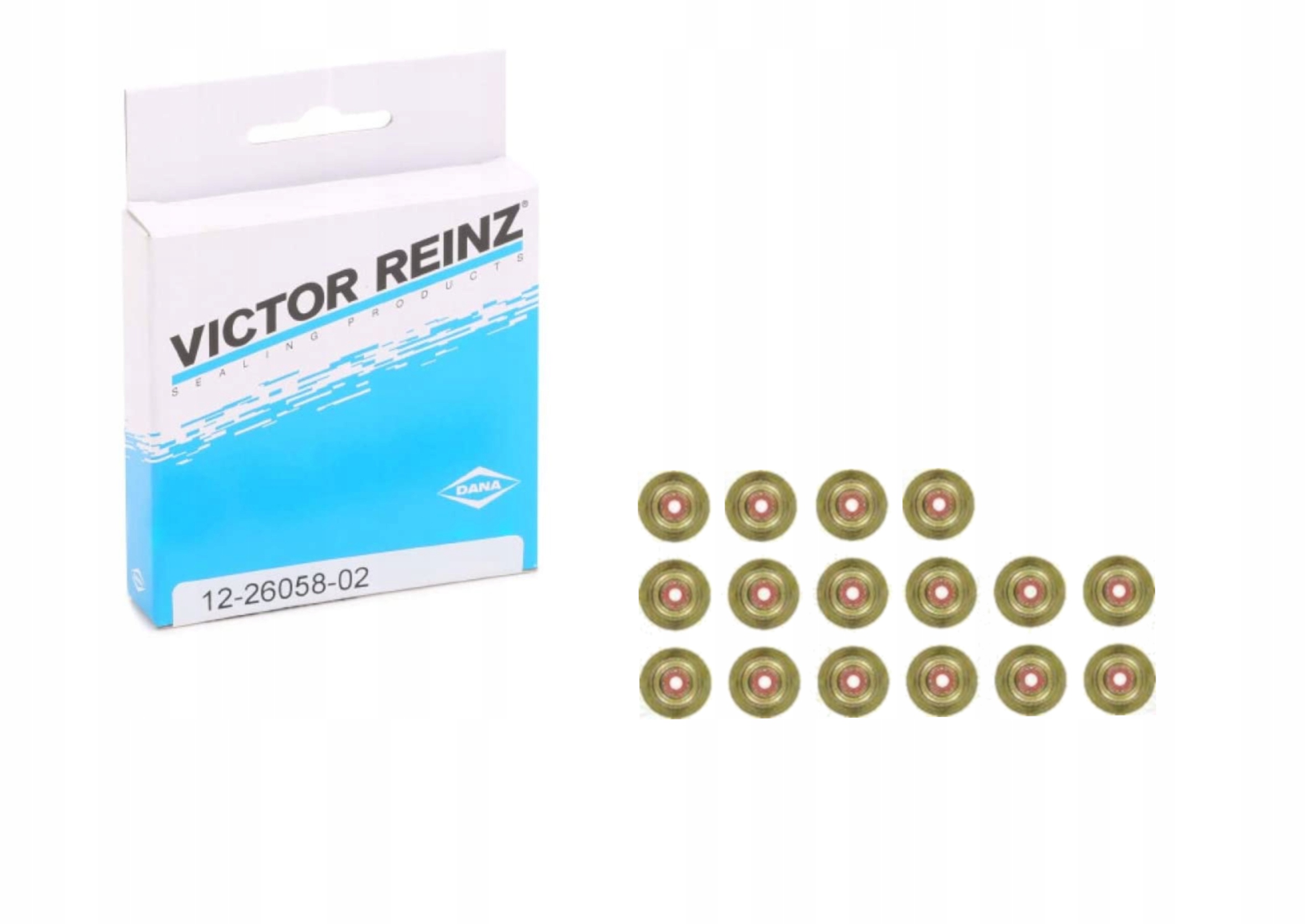 12-34438-01 - REINZ герметики для Xsara P. 306 1.8 2.0