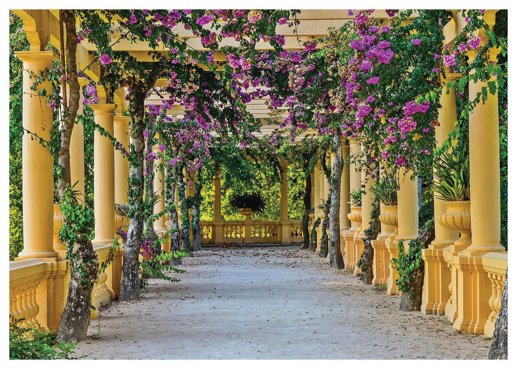 Tapeta Kvetoucí alej Pergola Jaro Romantická perspektiva 200x140 lepidlo
