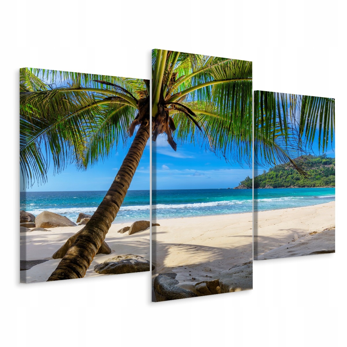 

Obraz Tryptyk Plaża Skały Palma Morze 3D 90x60
