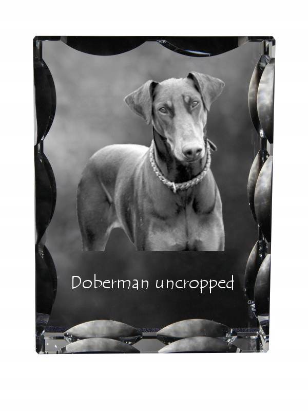 Doberman, Dobermann I kryształ ze zdjęciem psa, szklana statuetka ze zdję