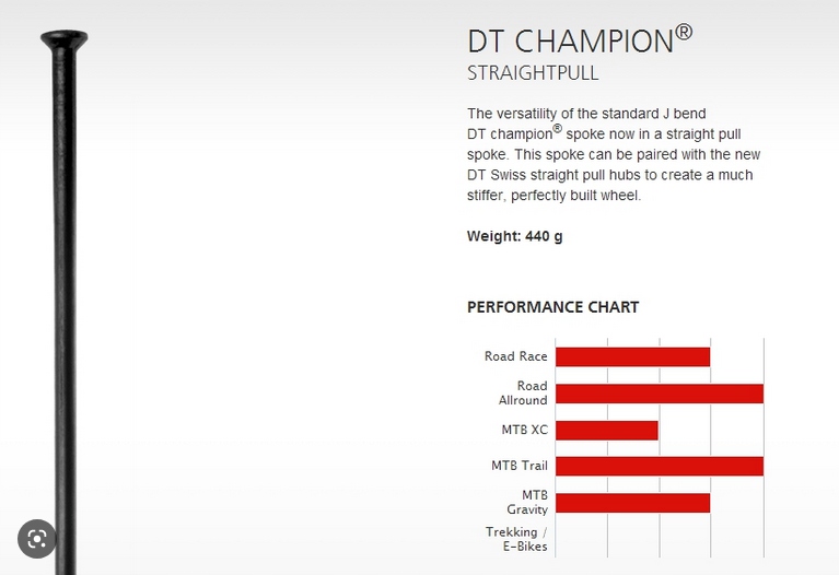 Szprychy Dt Swiss Champion 2,0 mm Straight Pull 306mm 5szt.