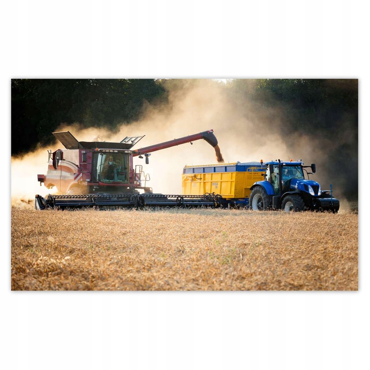 Fototapety 520x318 Žatva Kombajn Traktor