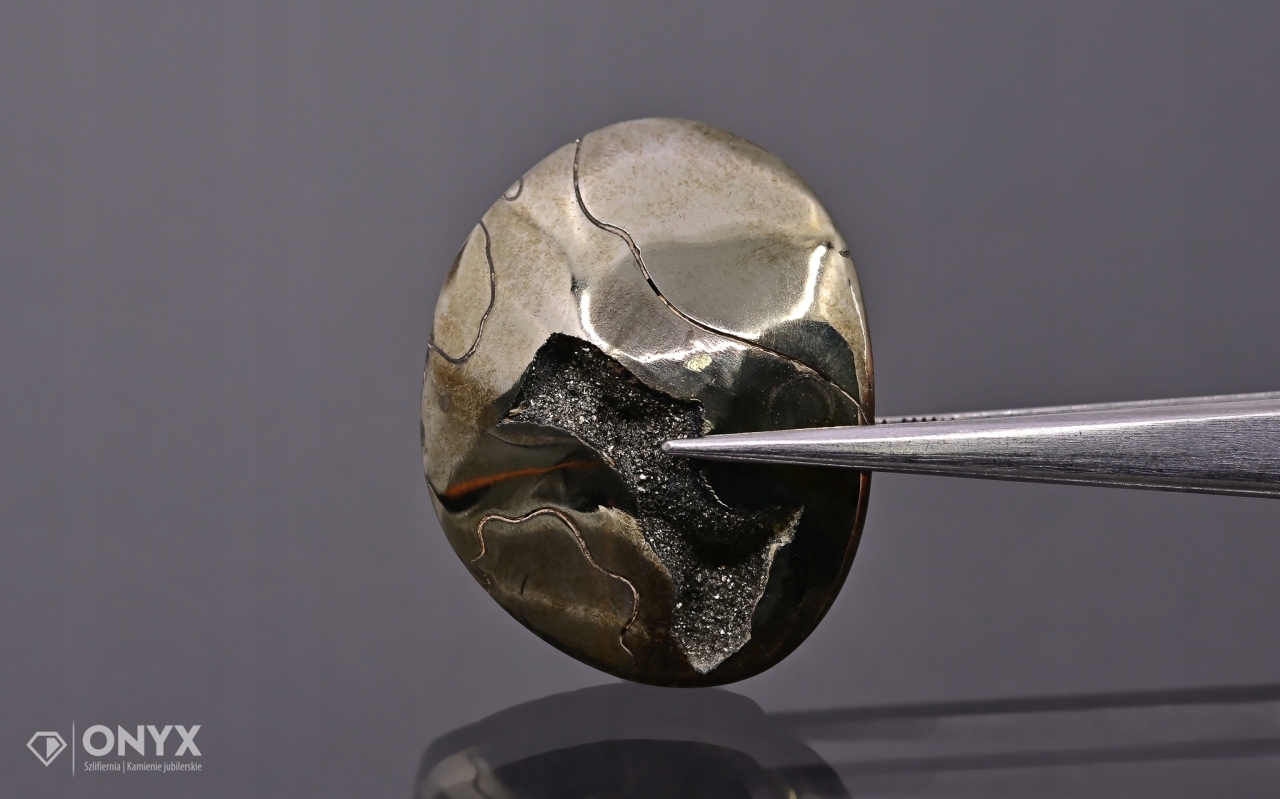 Amonit spiritizovaný nepravidelný 29x23 mm