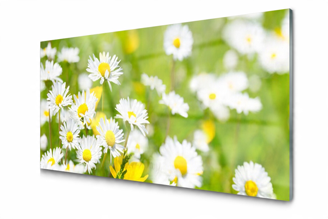 

Panel szklany Płytka Stokrotka Kwiat 140x70