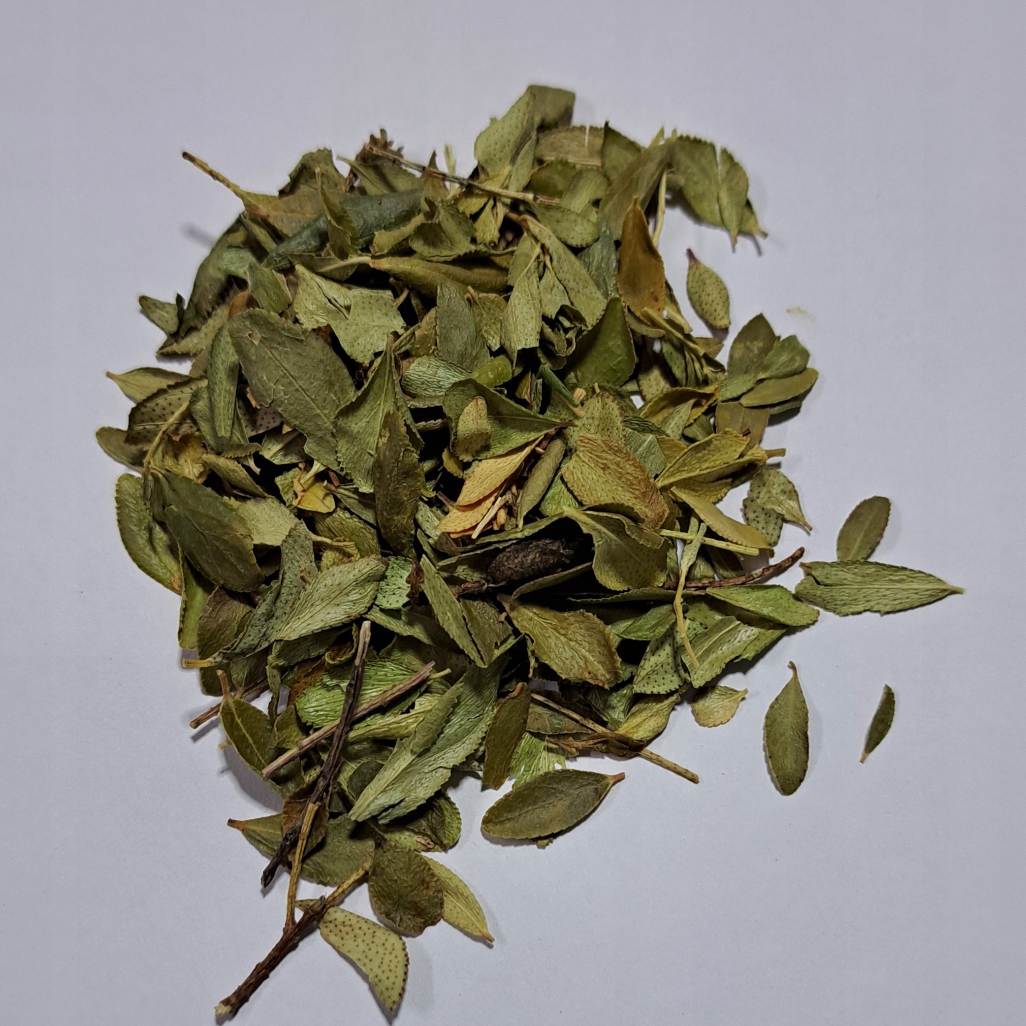 Buchu Bukko listy 1 kg Rafex