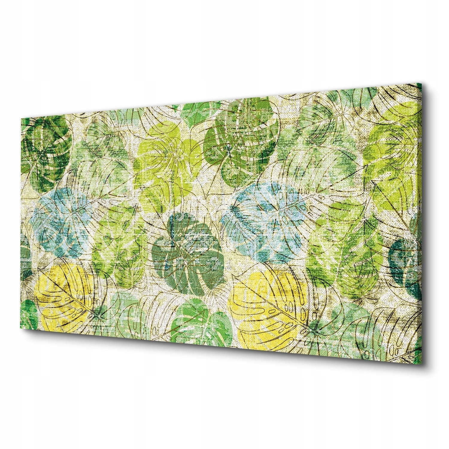 

Fotoobraz na płótnie monstera rycina wzór 100x50