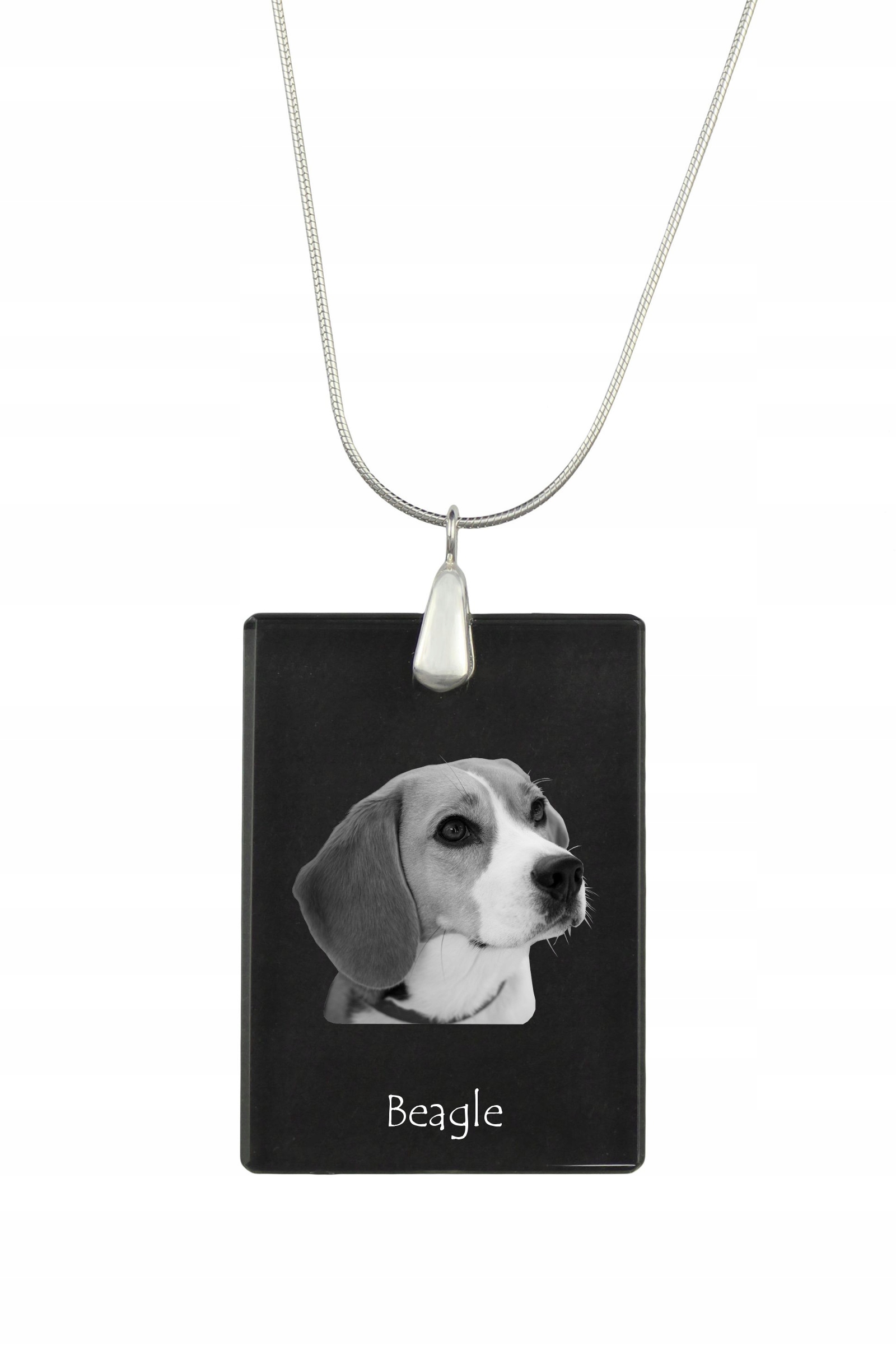 Beagle stříbrný náhrdelník s křišťálovým přívěskem se psem s fotografií