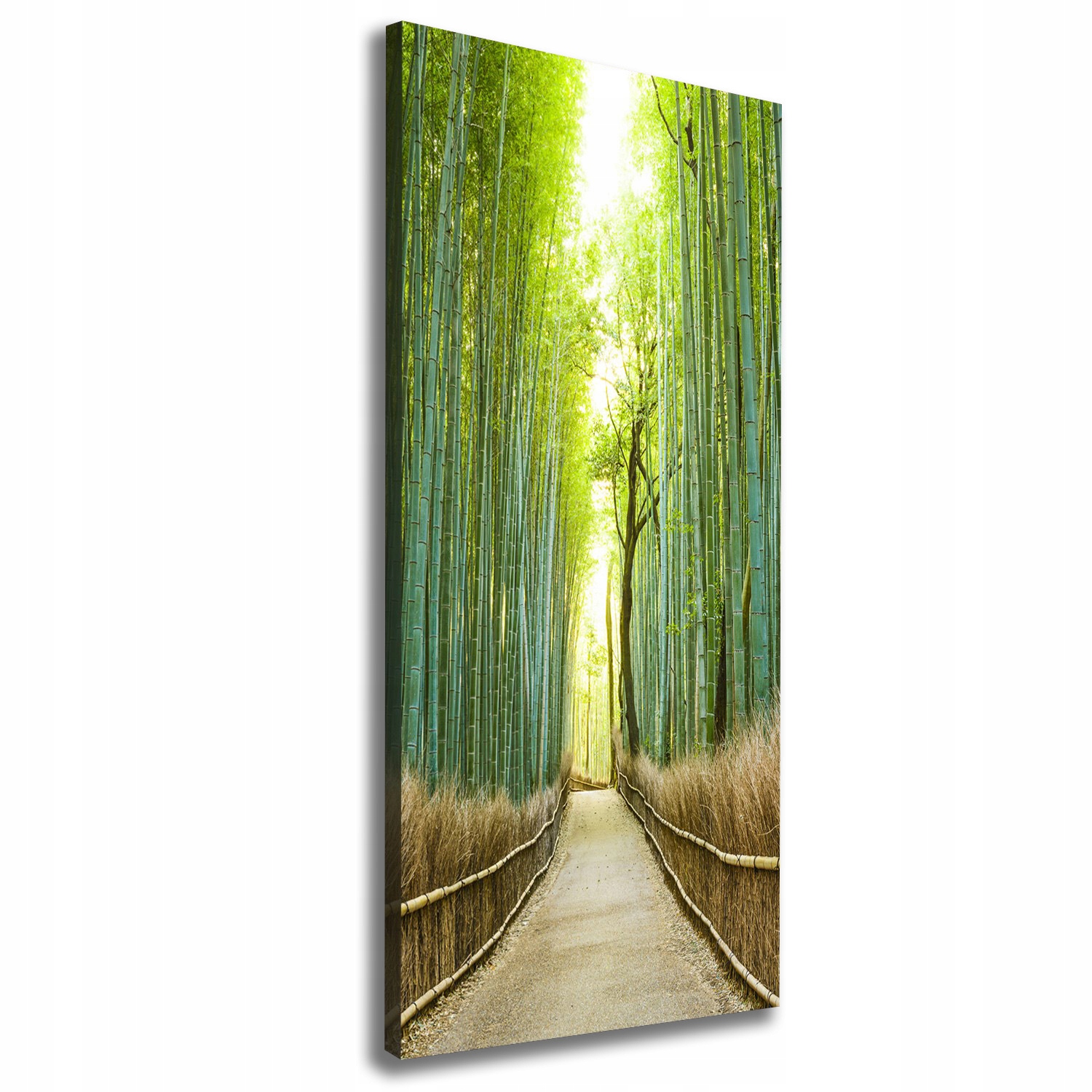 

Foto obraz na płótnie Las bambusowy 50x125 cm