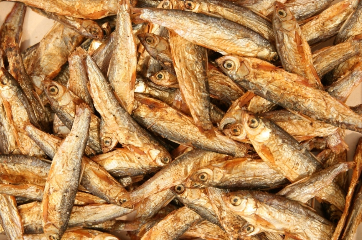 Levně Stinte Stynka Sušená Rybka Přírodní Krmivo Glopex 5 Kg