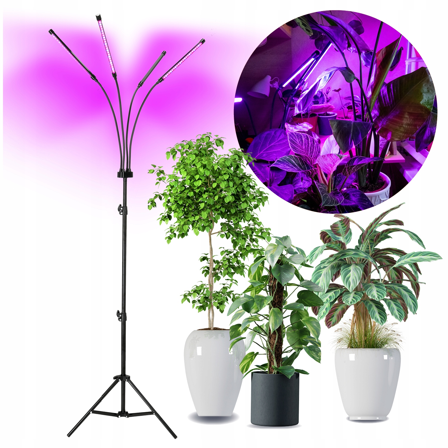 Stojací Led lampa pro růst pěstování rostlin Časovač 4 Pohyblivá ramena 30 W