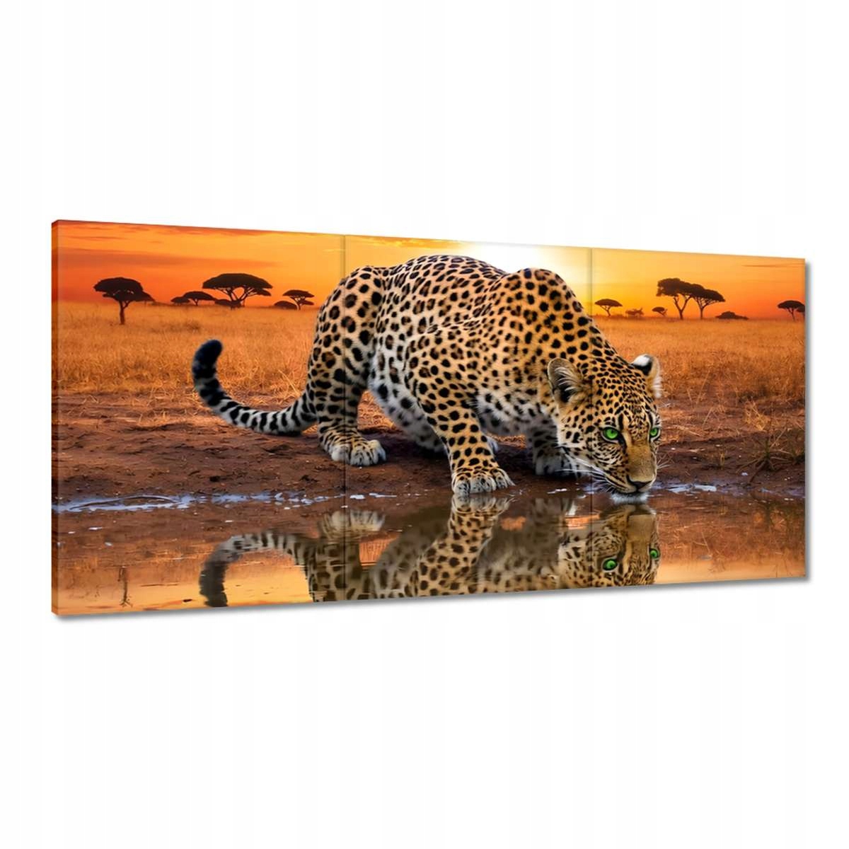 Obrazy 120x60 Na Zeď Gepard Tygr Jaguar