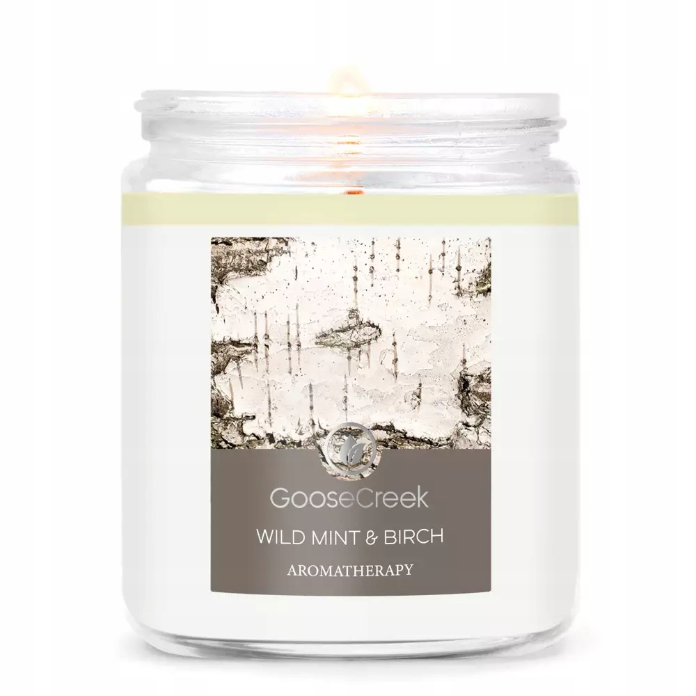 

Mała świeca Wild Mint & Birch Goose Creek Cand