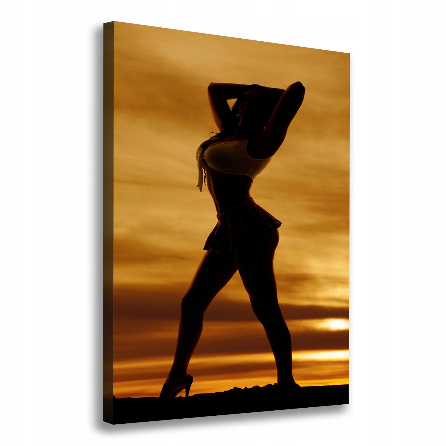 

Foto obraz na płótnie Krótka spódniczka 70x100 cm