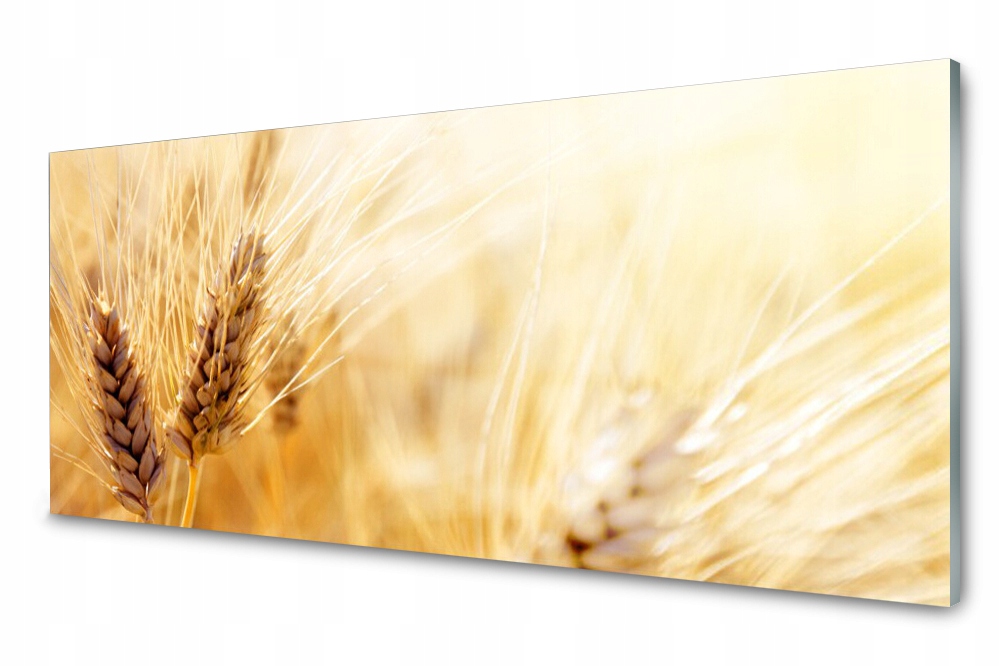

Panel szklany do kuchni Pszenica Roślina 125x50