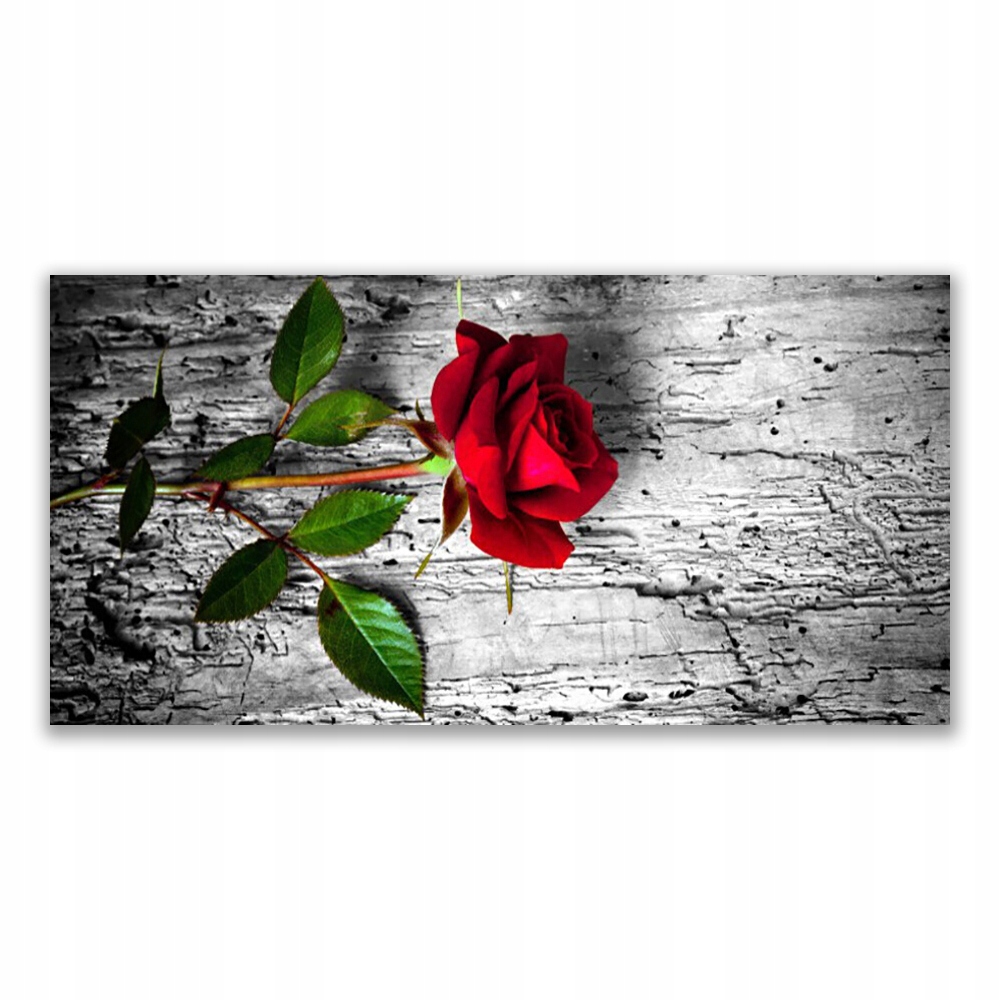 

Fotoobraz akryl 120x60 Róża Kwiat Roślina Natura