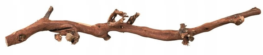 Levně Kořeny vinné révy, pískované, vel. 3, 45-70cm, ca. 5kg, 5ks/OPAK