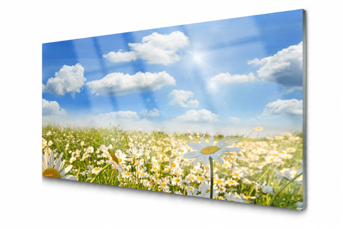 

Panel szklany dekor Łąka Stokrotki 140x70 + Klej