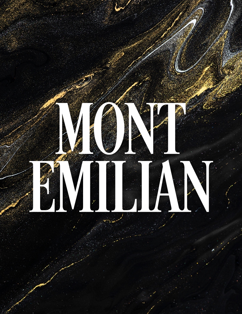 MONT EMILIAN koszulka POLO POLÓWKA bawełna L Model POLO