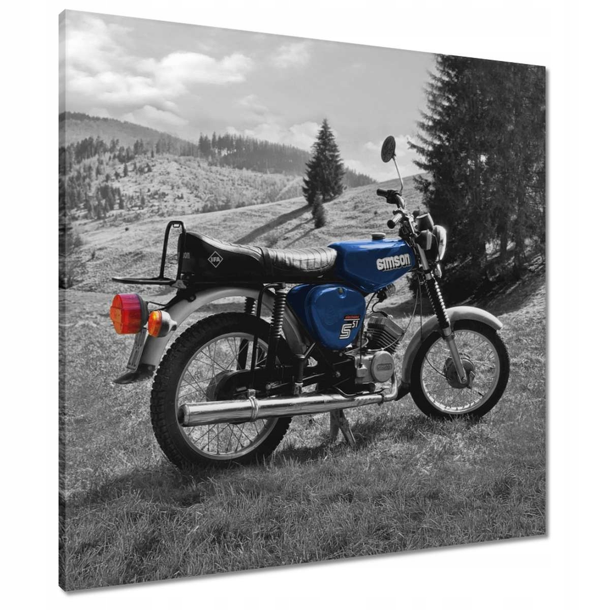 Obrazy 70x70 Modrý Simson S51