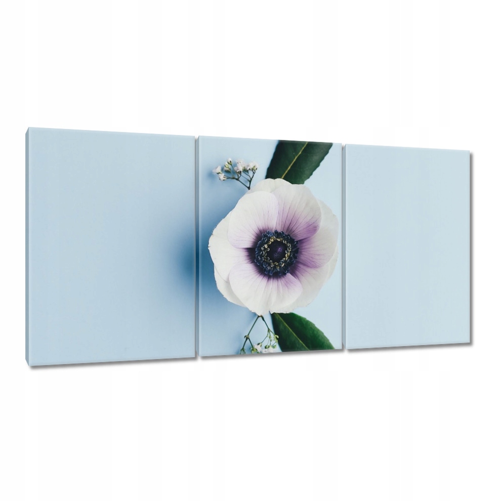 

Obrazy 120x60 Samotny kwiat