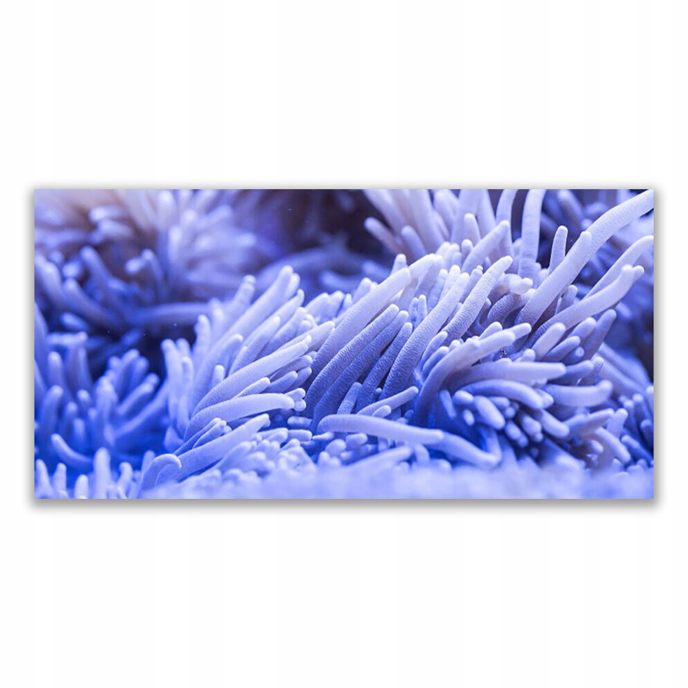 

Obraz akryl z nadrukiem 120x60 Abstrakcja Grafika