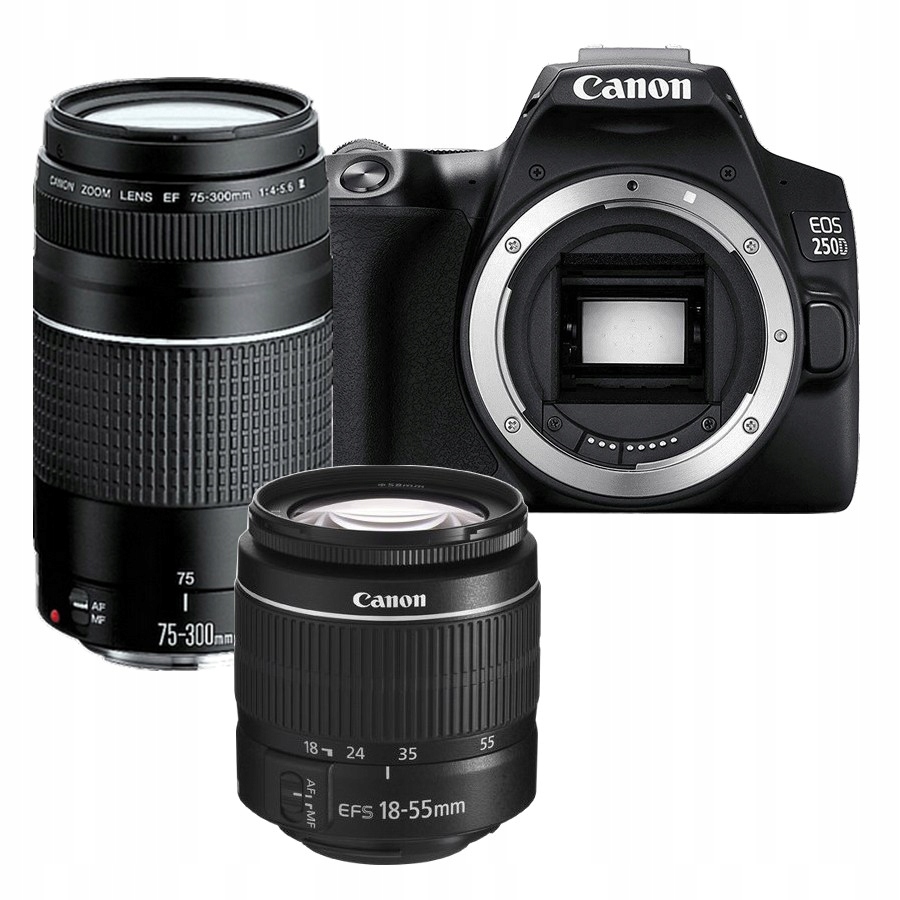 Fotoaparát Canon 250D 18-55 DC III 75-300 DC III