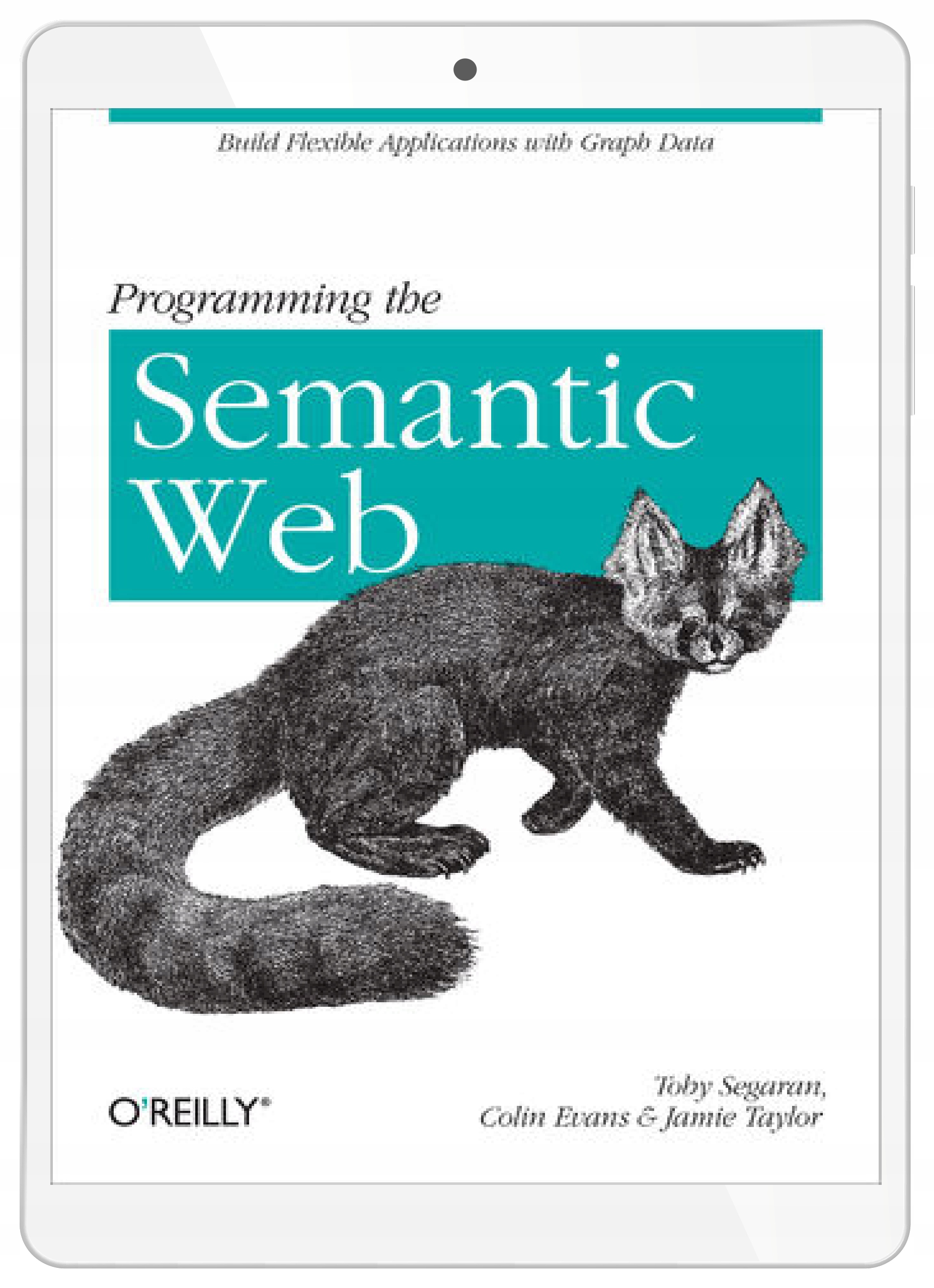 Programming the Semantic Web. Build Flexible