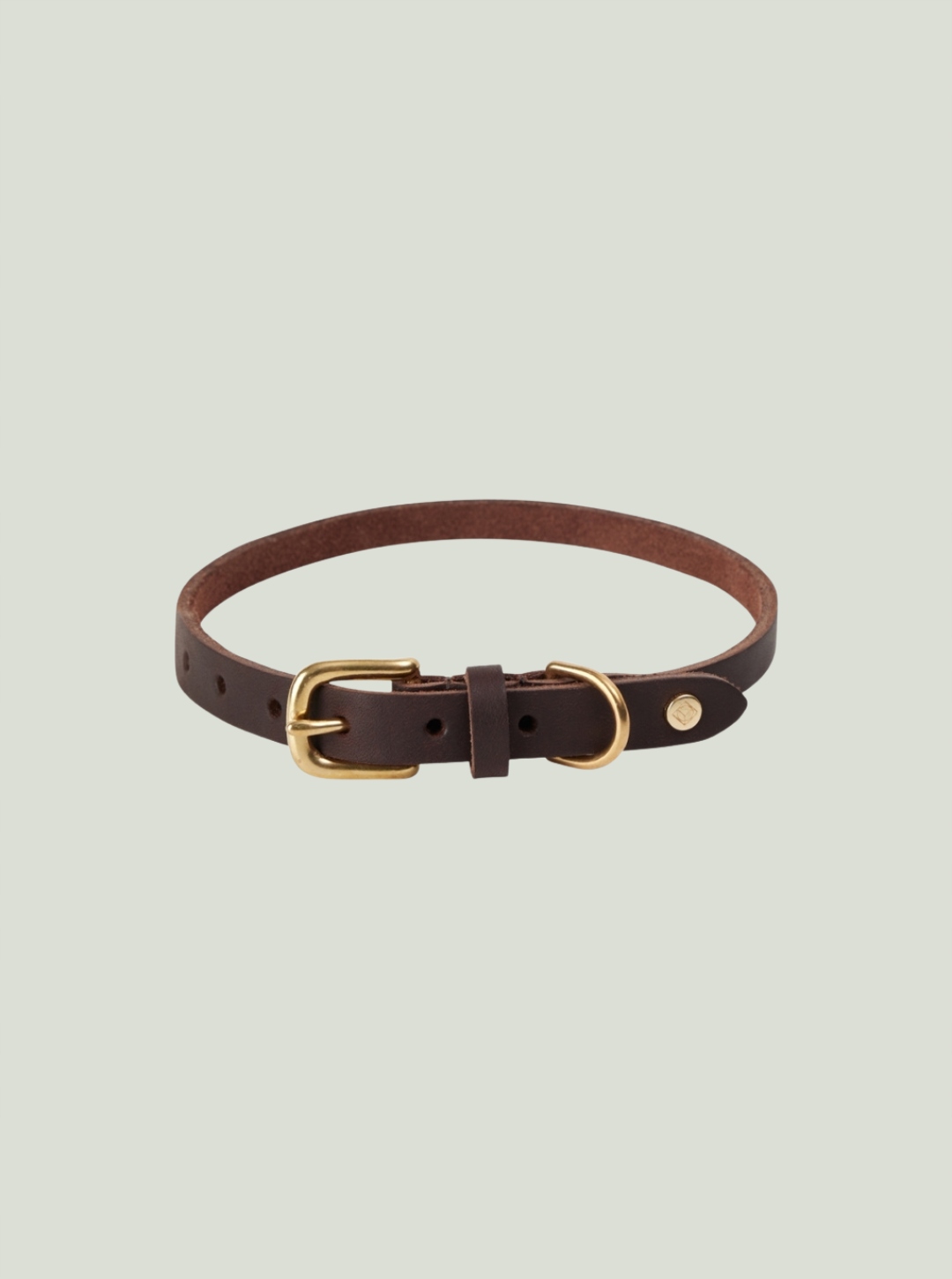 Levně Obojek pro psa Robin Dog Collar Choco Oyoy Zoo Velikost: M