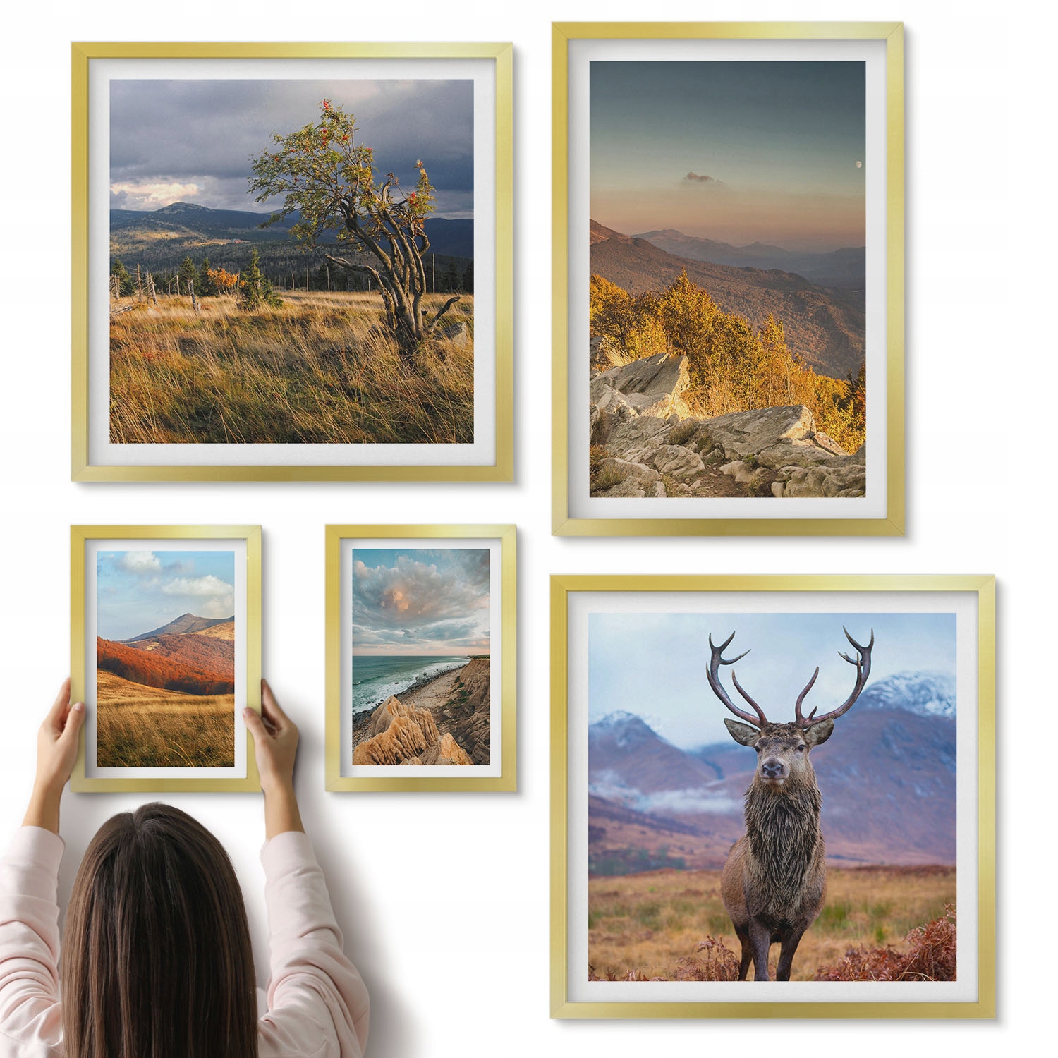 Sada 5 x Obrazy Polyptych pro obývací pokoj Krajina divoké horské fauny