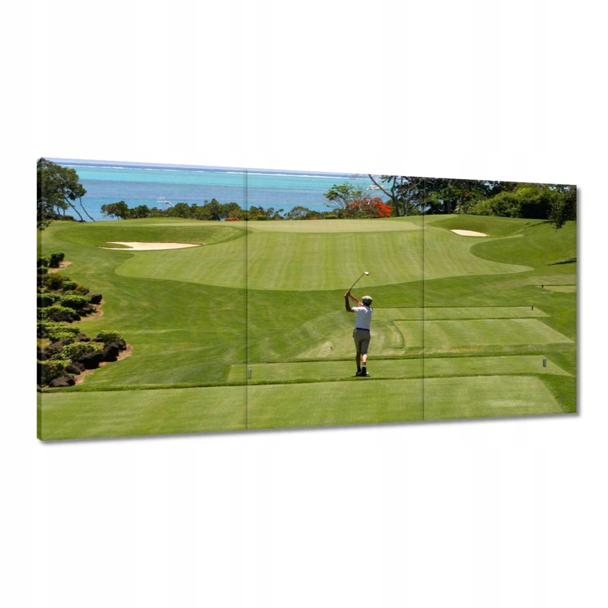 Obrazy 180x90 Golfista na poli