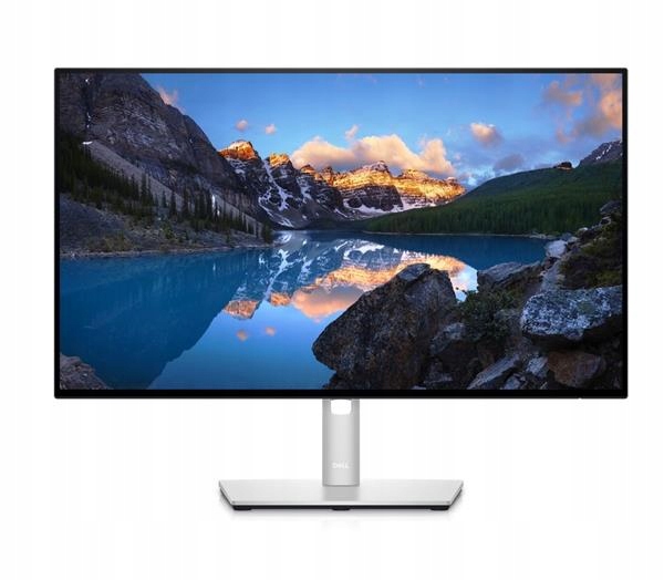 Dell UltraSharp 24 Monitor U2424H 60.47cm (23.8) DELL-U2424H