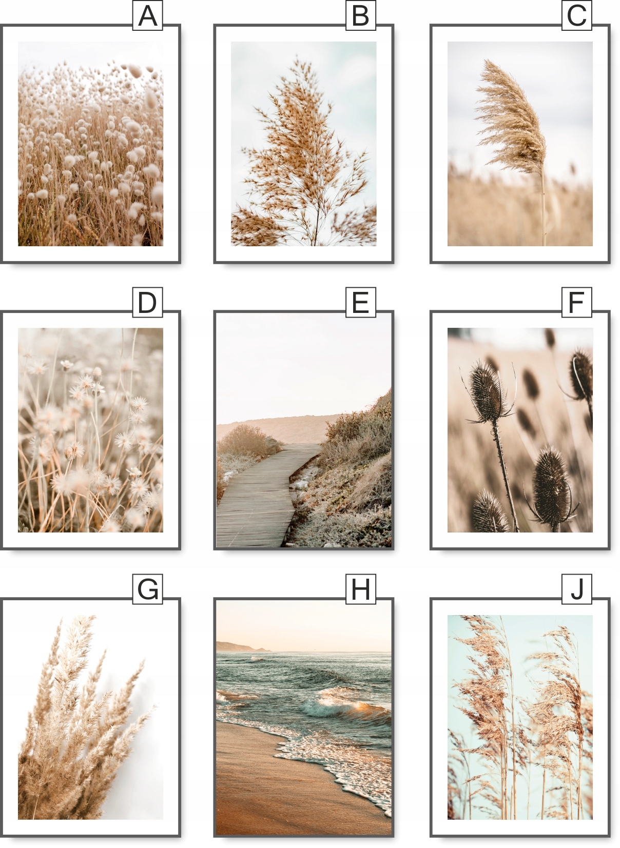 BOHO 30x40 OBRAZ NATURA TRAWA BEŻ plakat #20 Tematyka rośliny