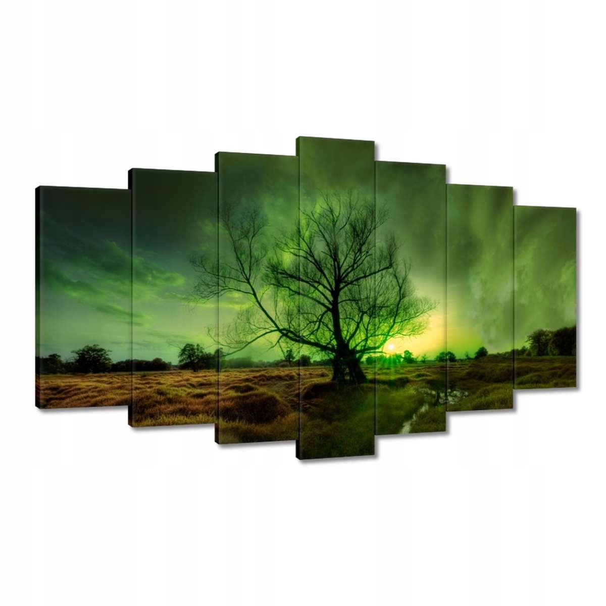 Obrazy 140x80 Rogalin